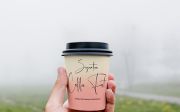 Martin Zidan - Signature Script Font