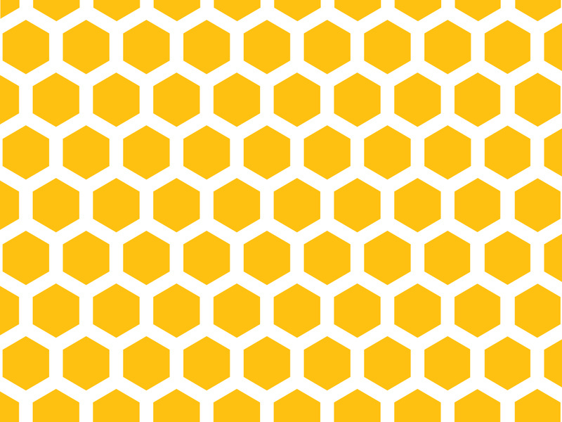 Bee icon design illustration