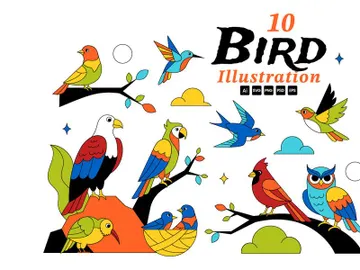 10 Colorful Tropical Bird Illustration preview picture