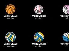 Volleyball Logo, Sport Simple Design, World Sports Tournament Vector, Illustration Symbol Icon