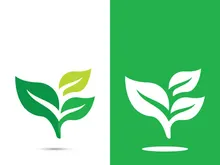 Logos of green tree leaf ecology nature element vector