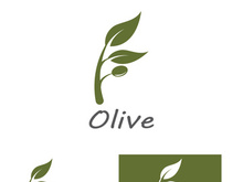 Branched olive fruit logo with creative idea.