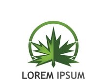 Maple leaf logo design with creative idea