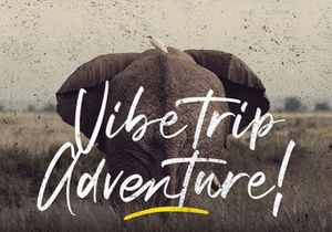 Winsthen - Handwritten Font