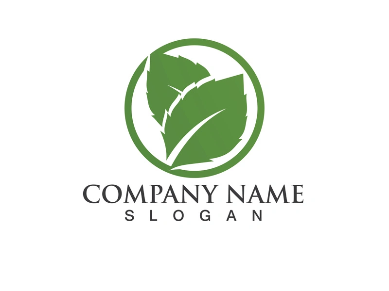 Green leaf logo Vector