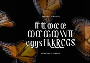 Focasio | Display Typeface