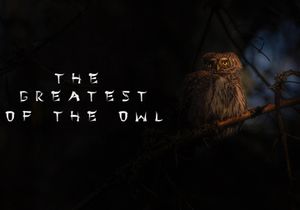 Wastebone - Display Blacletter Font