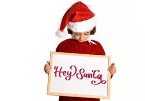 Beauty Christmas