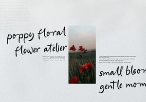 Ferdan Ligate | Modern Ligature Script