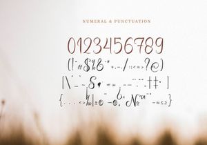 Famtehyo | Handwritten Script