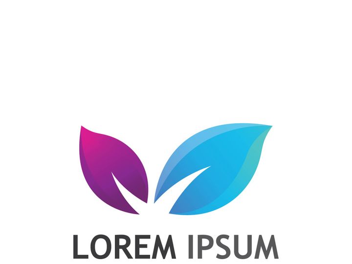 Colorful natural leaf logo design.