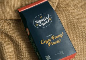 Agies Fresh - Retro Bold Script Font