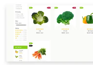 Econic Ecommerce Website Design