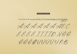 Palmintte | Handwritten Script