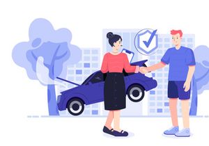 Insurance Illustrations