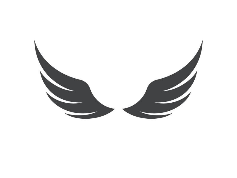 Wing  logo icon vector illustration