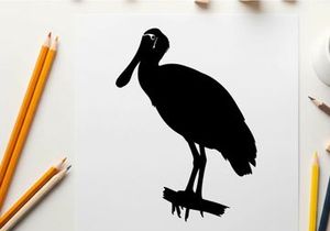 Silhouette of a bird standing on a branch in profile view