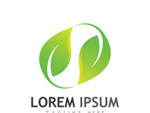Natural green leaf logo design.