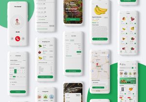 Grocery Delivery App
