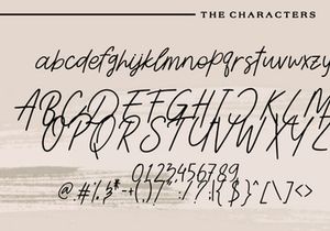Wonderland - An Elegant Script Font