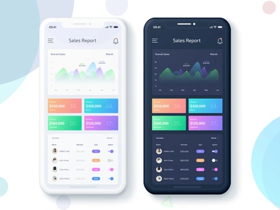 Sales Data Report Mobile App UI