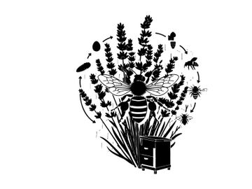 Silhouette of a bee amidst lavender flowers and a book preview picture