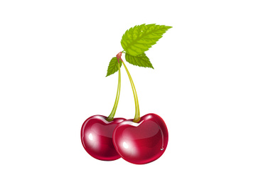 Cherry branch with green leaves realistic vector illustration preview picture