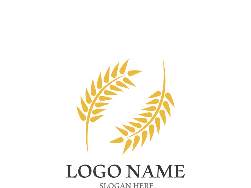 Wheat logo vector icon illustration design