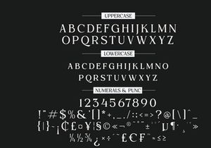 Beqiner Elegant Serif Typeface