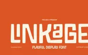 Linkage - Display Font