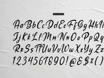The Mollina | Solid Hand Drawn Brush