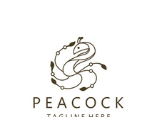 Peacock logo line art elegant concept icon design template flat vector illustration