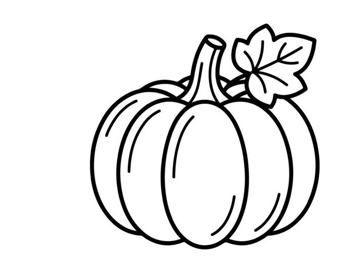 Pumpkin with leaf for autumn harvest. Seasonal vegetable display for fall decor.