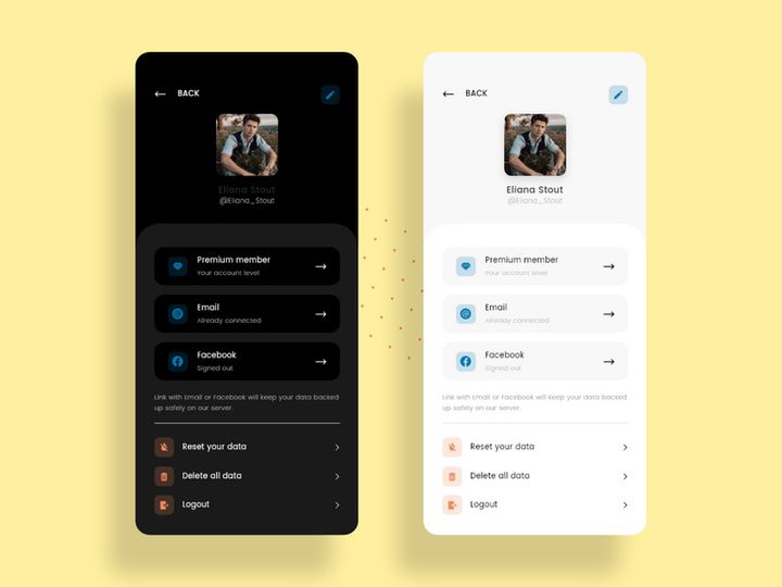 User profile as Light and Dark modes
