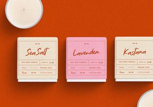 Natureal Script - Elegant Font