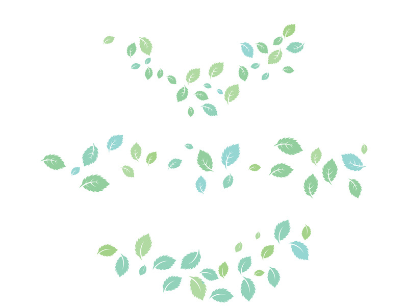 Mint Leaf icon template  illustration