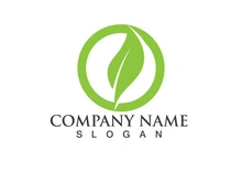 Green leaf logo Vector