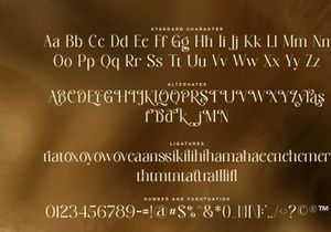 Bowtaris || ligature display serif