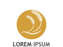 Organic wheat farm logo template.