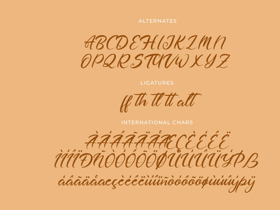 Dashtlyn Script Font