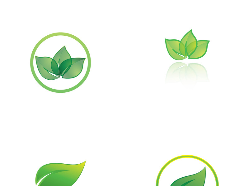 Natural green leaf logo design.