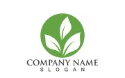 Eco Energy Vector Logo with leaf symbol. Green color with flash or thunder graphic. Nature and electricity renewable. This logo is suitable for technology, recycle, organic.