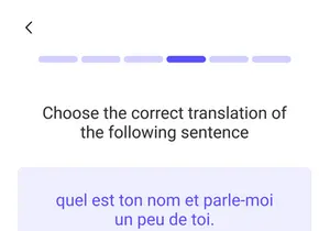 Language Learning App