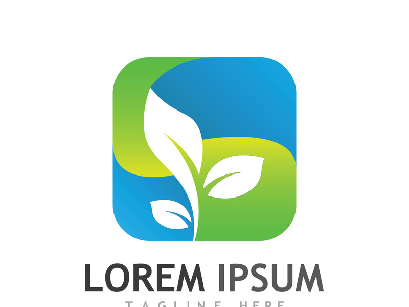 Natural green leaf logo.