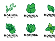 Leaf Logo, Eco Green Plant Vector, Green Earth