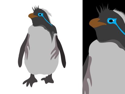 Penguins Vector Bundle