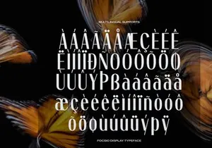 Focasio | Display Typeface