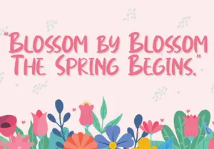 Cindyrella - Playful Display Font