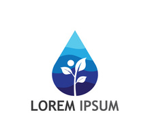 Natural green leaf logo.