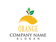 Orange logo design Vector icon illustration design